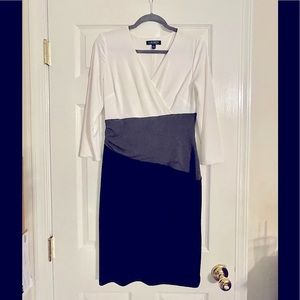 Noelle Knit Dress by Lauren Ralph Lauren NWOT